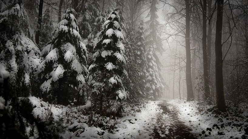 Winterlandschap van Maurice Cobben