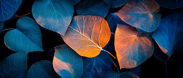 Feuilles bleues et orange - gros plan sur Poster Art Shop