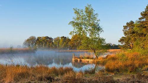 Sunrise at Smitsveen, Dwingelderveld, Drenthe by Henk Meijer Photography