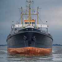 Dredger Wilhelm Krüger