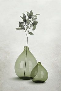 Glasvasen in transparenten Grau-Grün-Tönen