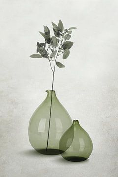 Glass vases in transparent shades of grey-green by Color Square