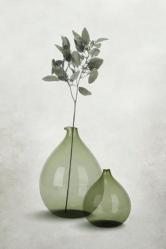 Vases en verre dans des tons transparents de gris-vert