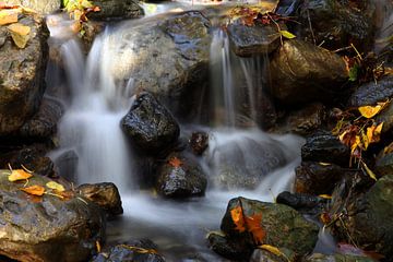 Autumn Waterfall van Cornelis (Cees) Cornelissen