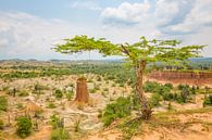 The view over the Tatacoa desert in Colombia von Michiel Ton Miniaturansicht