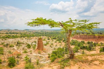 The view over the Tatacoa desert in Colombia von Michiel Ton