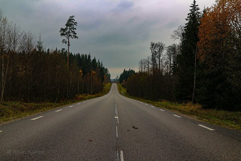 Route à travers la nature par Kevin Kamps
