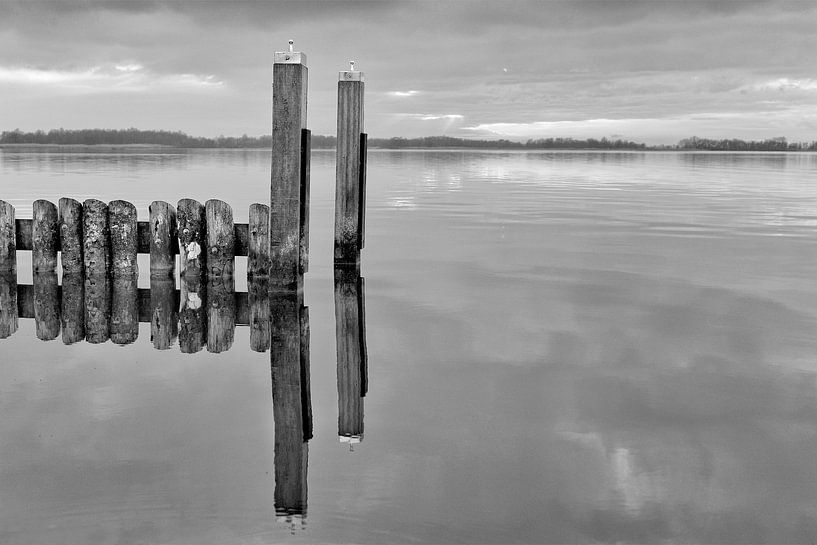 Spiegelbeeld Nieuwkoopse plassen par Wim Goedhart