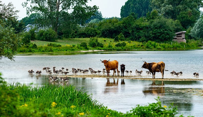 Restaurants am Wasser von Eline Bouwman