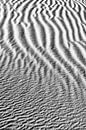 Muster von Sandlinien in der Wüste | Mauretanien von Photolovers reisfotografie Miniaturansicht