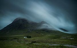 Whee White House by Jan Lambert