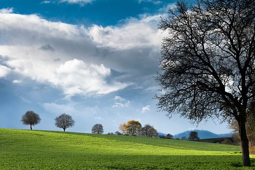 Die hügelige Landschaft der Südlichen Weinstraße in Rheinland Pfalz von André Post