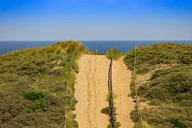 Dune by Michael Ruland