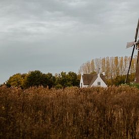 Ciel d'octobre au moulin à vent de Roosdonck sur Amy Harper Fotografie