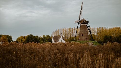 Ciel d'octobre au moulin à vent de Roosdonck