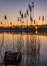 Leeghwaterplas Almere van Bart Hendrix thumbnail
