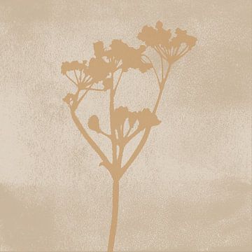 Delicate flower. Wabi-sabi botanical art in sand, white, ochre by Dina Dankers