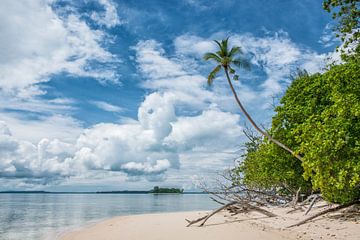 Lissenung Island im Südpazifik. von Ron van der Stappen