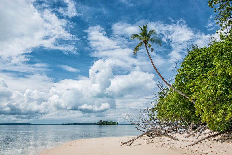 L'île de Lissenung dans le Pacifique Sud. par Ron van der Stappen
