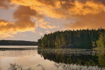 Gouden zonsondergang boven een rustig bosmeer in Scandinavië.