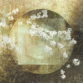 Blossom. Japandi style. Wabi-Sabi. 4 by Alie Ekkelenkamp
