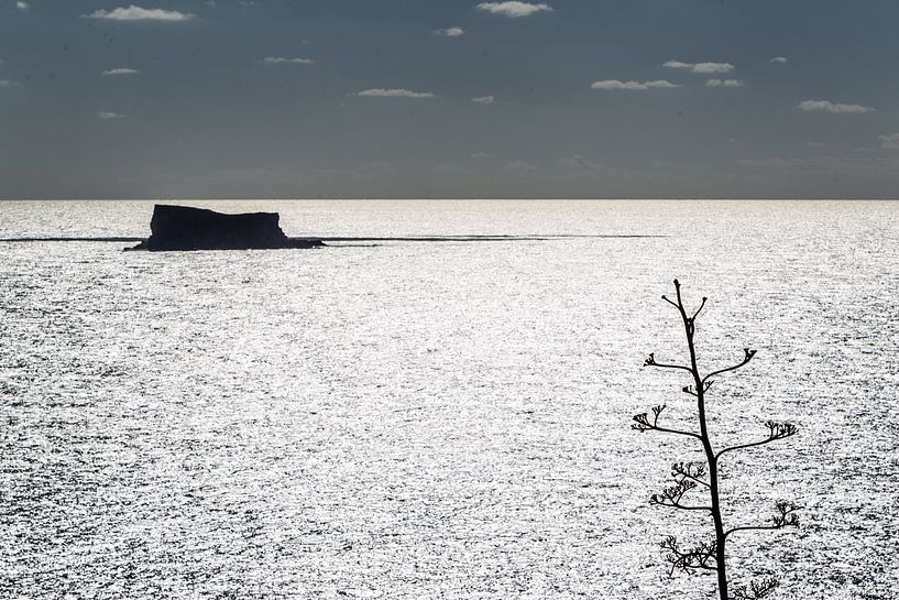 Malta von Eric van Nieuwland