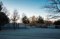 Bevroren ochtenddauw in stadspark