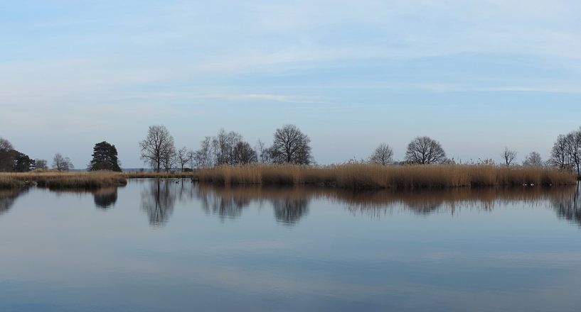 reflektierende Luft in einem Teich von Wim vd Neut