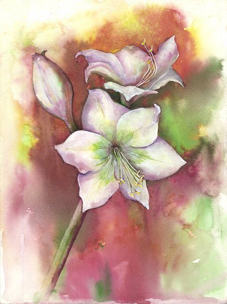 Lilie by Jitka Krause