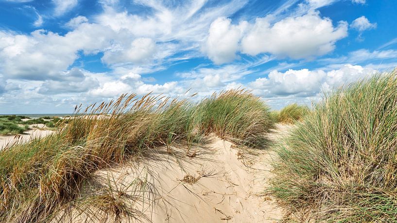Dutch coast with the dunes and the North Sea by eric van der eijk