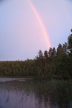 Regenboog over een Zweeds meer van Martin Köbsch