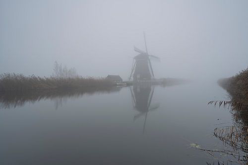Alleen op de wereld