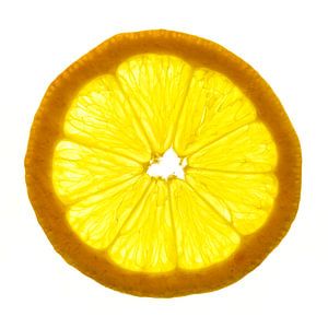 Nahaufnahme einer Zitronenscheibe vor einem weißen Hintergrund.