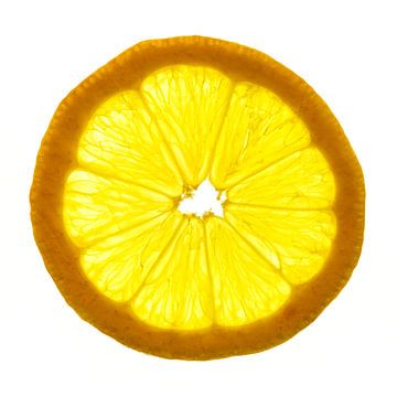 Gros plan d'une tranche de citron sur fond blanc. sur Carola Schellekens