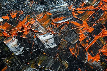 closeup van olieverf op canvas van Jan Fritz