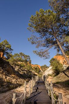 The path down – wooden walkway at the Falesia