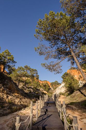 Le chemin qui descend – passerelle en bois près de la Falesia