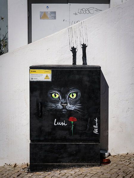 Straatkunst in Alvor van Eddy Westdijk