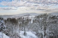Uitzicht op de bergstad Sankt Andreasberg in het Harzgebergte van Peter Eckert thumbnail