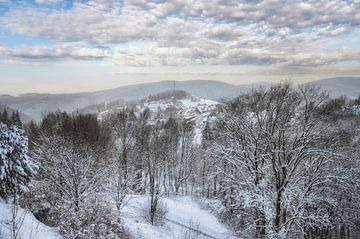 Uitzicht op de bergstad Sankt Andreasberg in het Harzgebergte van Peter Eckert