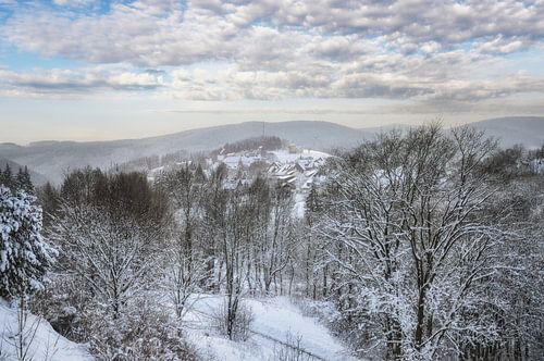 Blick auf die Bergstadt Sankt Andreasberg im Harz