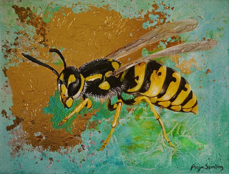 Vespula Vulgaris I Kaiserstuhl (Allemagne) par Anja Semling