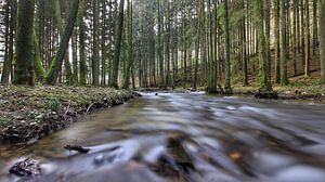 river von Maurice Hoogeboom