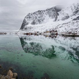 Fjord op de Lofoten (Noorwegen) in de winter van Maik Richter