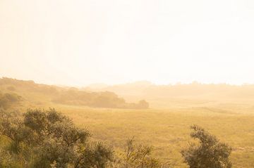 Nebliger Sonnenaufgang in den Dünen von Goeree im Sommer von Sjoerd van der Wal Fotografie