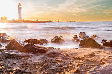 Warm colours on a cold day by Louise Poortvliet