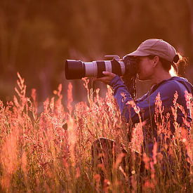 Roeselien Raimond profielfoto