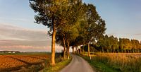 Avondzon in Groningen
