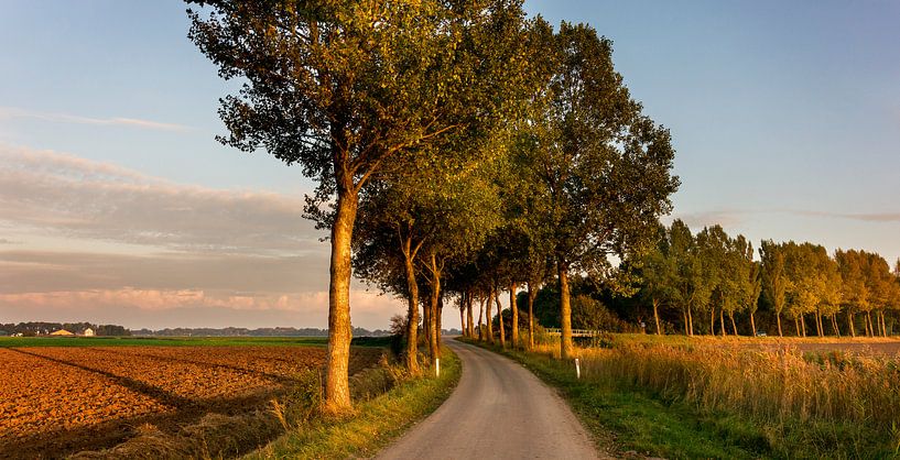 Eveningsun by Bo Scheeringa Photography