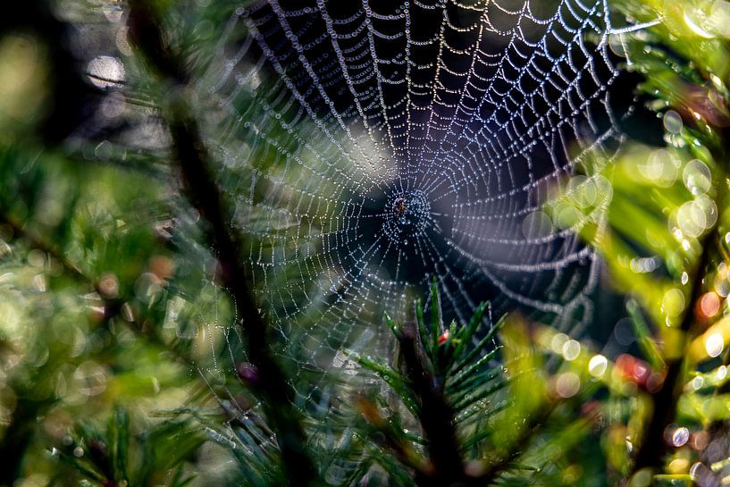 C'est l'automne au Boshuis Drie par Hans de Waay